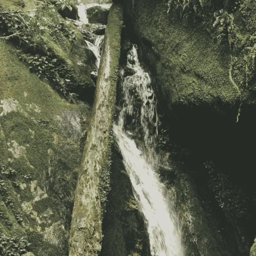 Untitled design (3)